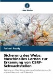 Sicherung des Webs: Maschinelles Lernen zur Erkennung von CSRF-Schwachstellen