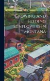 Growing And Feeding Sunflowers In Montana