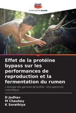 Effet de la protéine bypass sur les performances de reproduction et la fermentation du rumen - Jadhav, D;Chaubey, M;Sorathiya, K