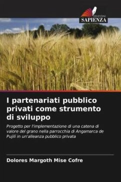 I partenariati pubblico privati come strumento di sviluppo - Mise Cofre, Dolores Margoth