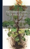 Les Métamorphoses D'une Goutte D'eau: Suivies Des Aventures D'une Fourmai, Des Guêpes, De La Goutte De Rosée, Etc