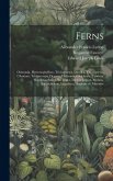 Ferns: Osmunda, Hymenophyllum, Trichomanes, Davallia, Thyrsopteris, Cibotium, Trichiocarpa, Deparia, Dicksonia, Gleichenia, C