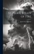 St. Pierre's Rain of Fire - Bild 1
