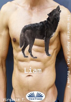 Liam (eBook, ePUB) - T., Virginie