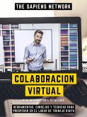Colaboracion Virtual (eBook, ePUB)