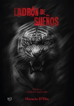 Cover Ladrón de sueños (eBook, ePUB)