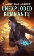 Unexploded Remnants (eBook, ePUB) - Bild 1