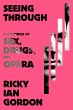 Seeing Through (eBook, ePUB) - Bild 1
