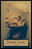 Bared Souls (eBook, ePUB)