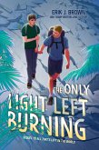 The Only Light Left Burning (eBook, ePUB)