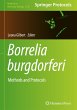 Borrelia burgdorferi - Bild 1