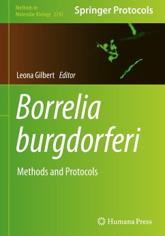 Cover Borrelia burgdorferi