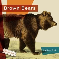 Brown Bears - Gish, Melissa