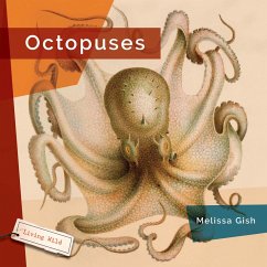 Octopuses - Gish, Melissa