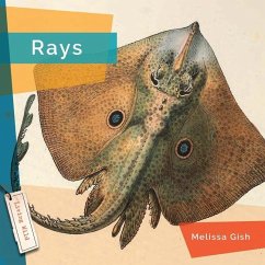 Rays - Gish, Melissa