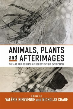 Animals, Plants and Afterimages