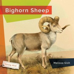 Bighorn Sheep - Gish, Melissa