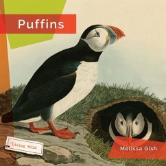 Puffins - Gish, Melissa