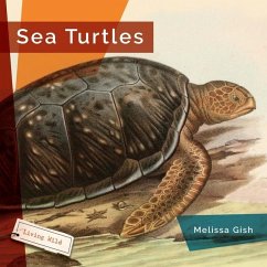 Sea Turtles - Gish, Melissa