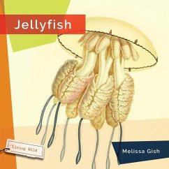 Jellyfish - Gish, Melissa