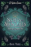 Secrets and Snowflakes