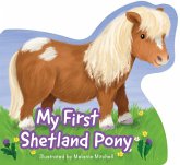 My First Shetland Pony