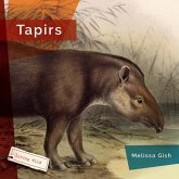 Tapirs