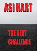 The Next Challenge (eBook, ePUB)