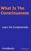 What is the Consciousness (eBook, ePUB) What is the Consciousness (eBook, ePUB)
