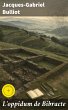 L'oppidum de Bibracte (eBook, ePUB) - Bild 1