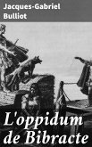 L'oppidum de Bibracte (eBook, ePUB)