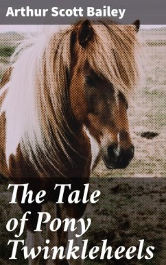The Tale of Pony Twinkleheels (eBook, ePUB) - Bailey, Arthur Scott
