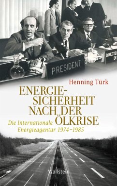 Energiesicherheit nach der Ölkrise (eBook, PDF) - Türk, Henning