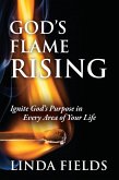God's Flame Rising (eBook, ePUB)