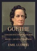 Goethe - Geschichte eines Menschen (eBook, ePUB)