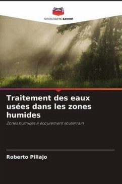 Traitement des eaux usées dans les zones humides - Pillajo, Roberto