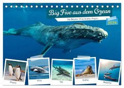 Big Five aus dem Ozean Hai, Delphin, Wal, Robbe, Pinguin (Tischkalender 2024 DIN A5 quer), CALVENDO Monatskalender