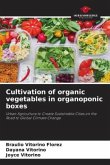 Cultivation of organic vegetables in organoponic boxes