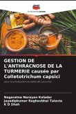 GESTION DE L'ANTHRACNOSE DE LA TURMERIE causée par Colletotrichum capsici