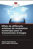 Effets de différents schémas de modulation numérique pour la transmission d'images