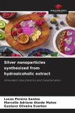 Silver nanoparticles synthesized from hydroalcoholic extract