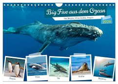 Big Five aus dem Ozean Hai, Delphin, Wal, Robbe, Pinguin (Wandkalender 2024 DIN A4 quer), CALVENDO Monatskalender