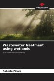 Wastewater treatment using wetlands