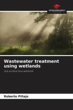 Wastewater treatment using wetlands - Pillajo, Roberto