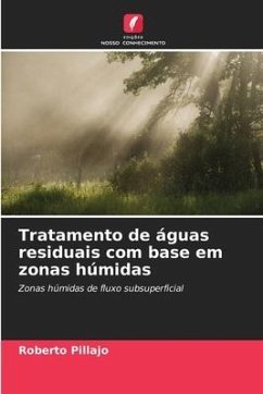 Tratamento de águas residuais com base em zonas húmidas - Pillajo, Roberto