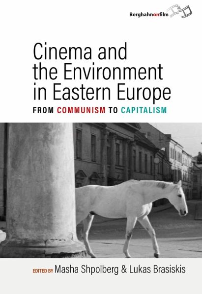 Cinema and the Environment in Eastern Europe (eBook, ePUB) Cinema and the Environment in Eastern Europe (eBook, ePUB)