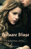 Felinare Stinse (eBook, ePUB)