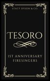 Tesoro (eBook, ePUB)