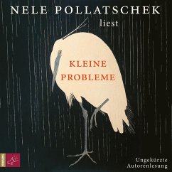 Kleine Probleme (MP3-Download) - Pollatschek, Nele