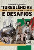 Turbulências e desafios (eBook, ePUB)